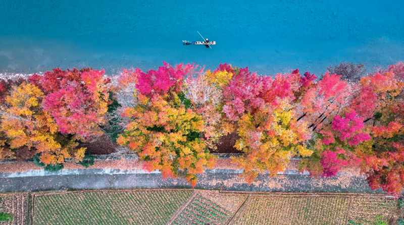 ���οh��Ȼ�YԴ��Ҏ(gu��)���֣�Ҏ(gu��)���x�̸ܹ��� ���(sh��)�����_(k��i)�¾�