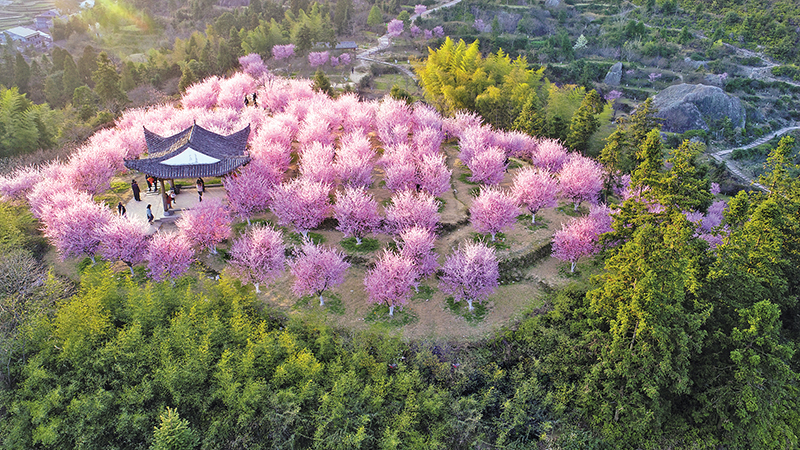 �|�ǽֵ�������(ji��n)���y�ٰl(f��)չ ���|(zh��)��Ч������